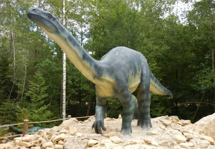Dinosaurier Museum Altmühltal