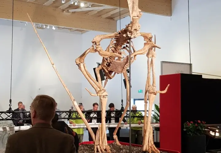 Dinosaurier Museum Altmühltal