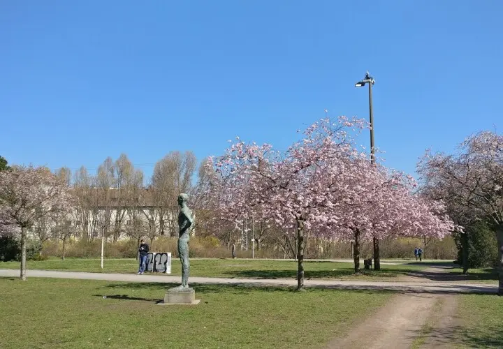 Schwimmhalle Ernst-Thälmann-Park - Berliner Bäder