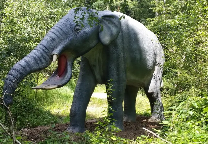 Dinosaurier Museum Altmühltal
