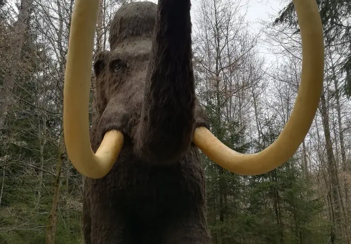 Dinosaurier Museum Altmühltal