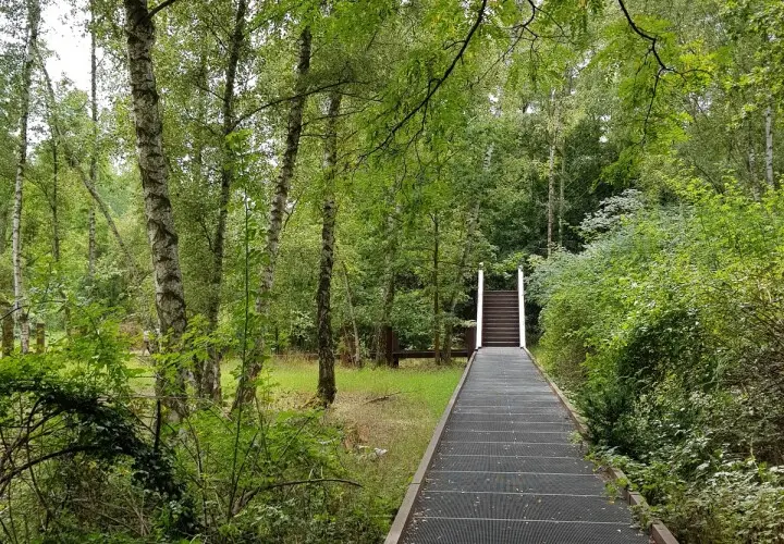 Natur-Park Schöneberger Südgelände
