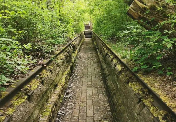 Natur-Park Schöneberger Südgelände