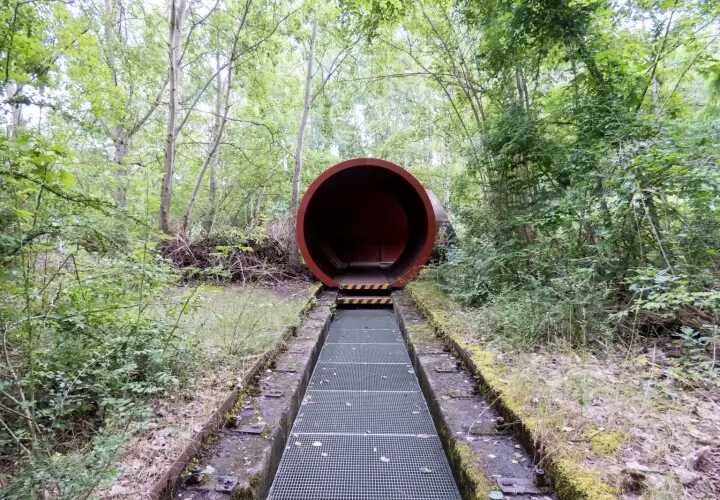 Natur-Park Schöneberger Südgelände