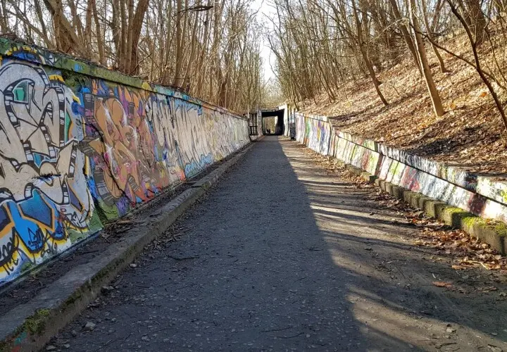 Natur-Park Schöneberger Südgelände
