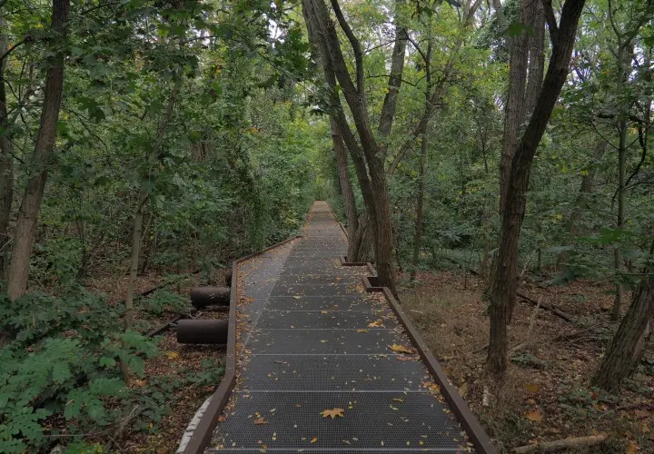 Natur-Park Schöneberger Südgelände