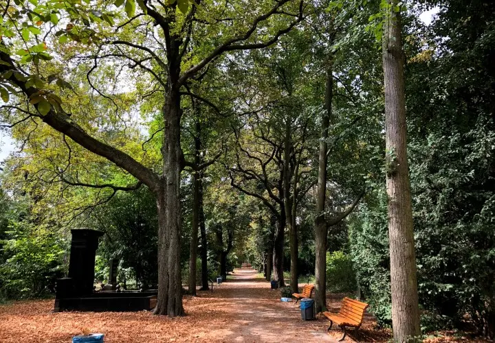 Leise-Park