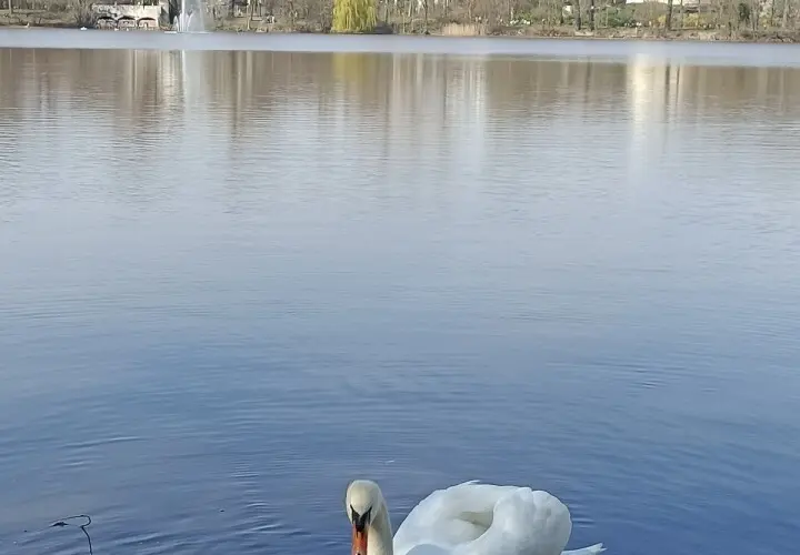 Park am Weißen See