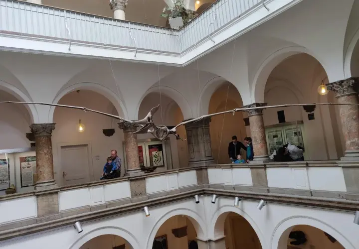 Palaeontological Museum, Munich