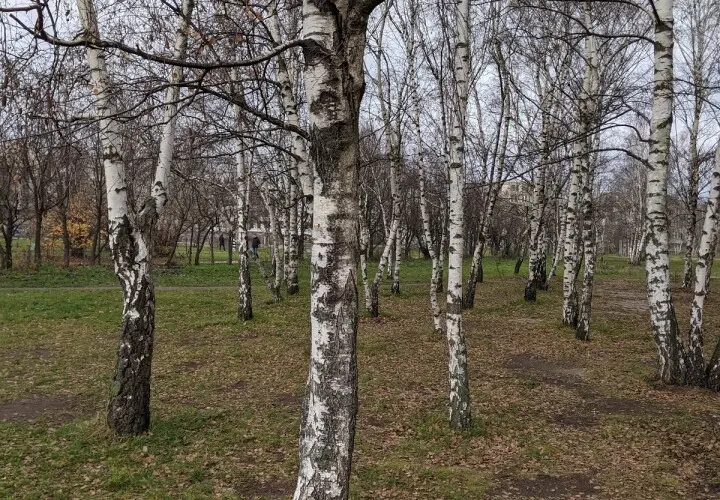 Mauerpark