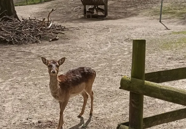 Volkspark Hasenheide