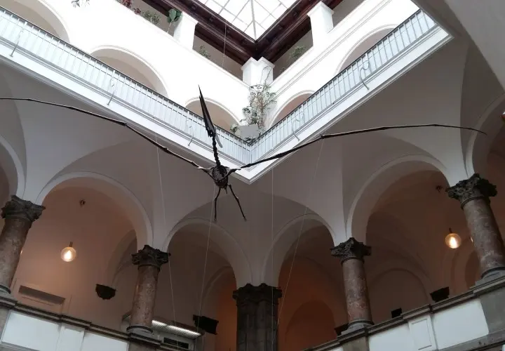 Palaeontological Museum, Munich