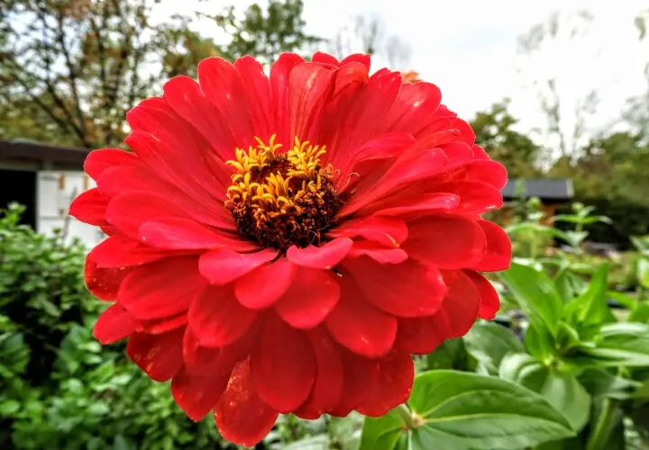 Garten der Begegnung Marzahn-Hellersdorf Berlin
