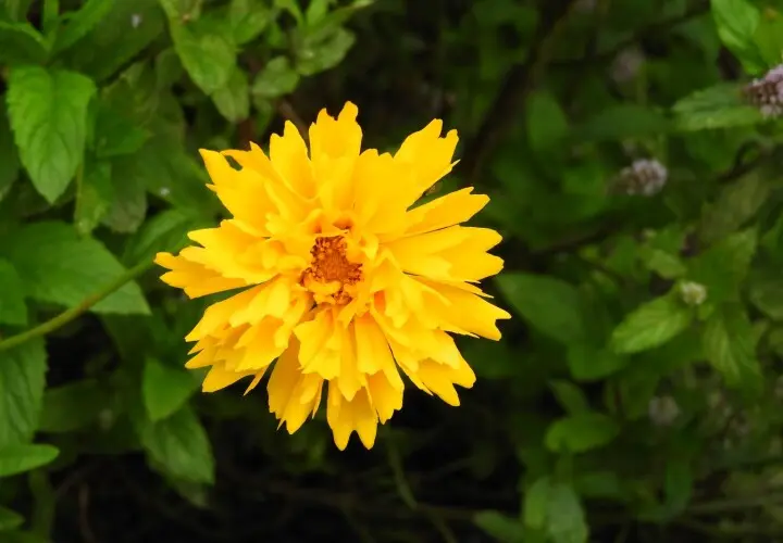 Garten der Begegnung Marzahn-Hellersdorf Berlin