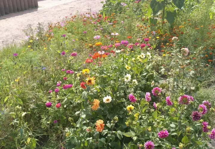 Garten der Begegnung Marzahn-Hellersdorf Berlin