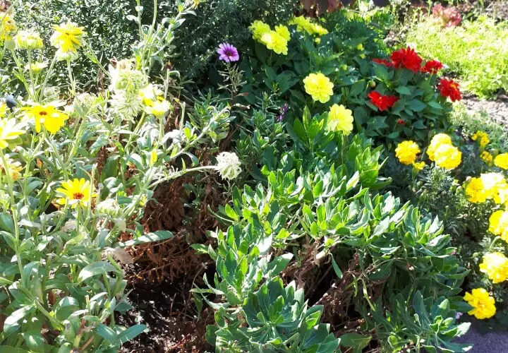 Garten der Begegnung Marzahn-Hellersdorf Berlin
