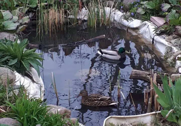 Garten der Begegnung Marzahn-Hellersdorf Berlin