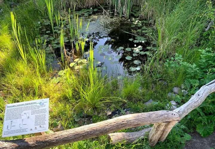 Naturschutzzentrum Ökowerk Berlin e.V.