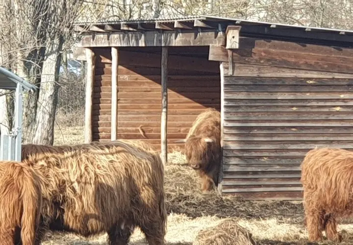 Wuhletalwächter