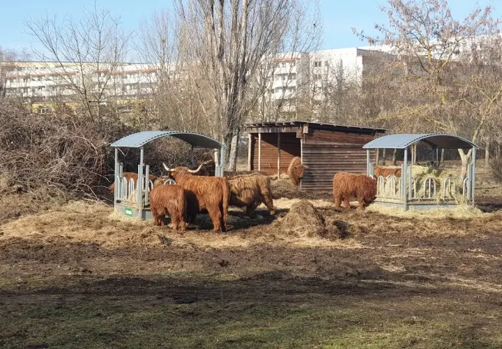 Wuhletalwächter
