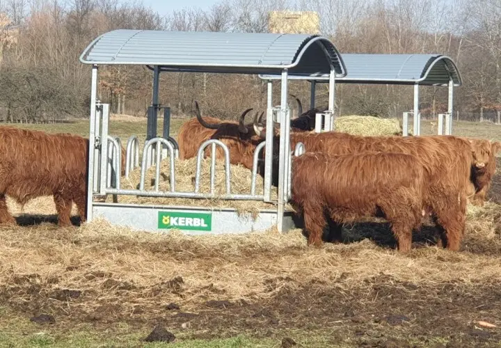 Wuhletalwächter