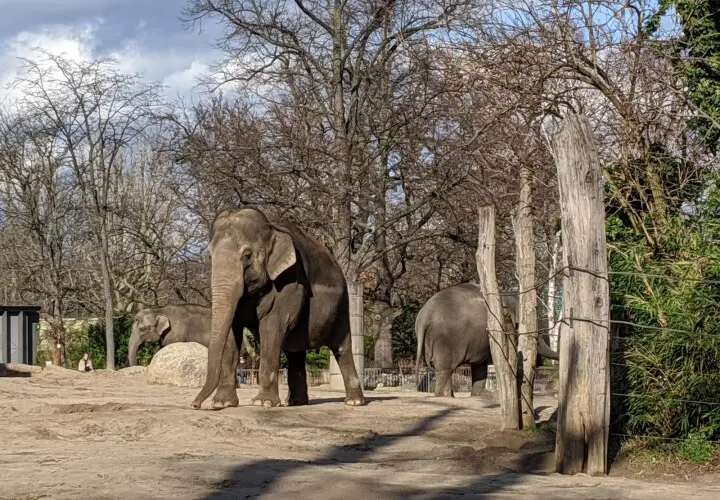 Zoologischer Garten Berlin