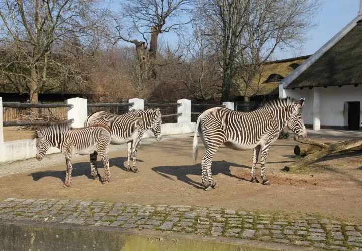 Zoologischer Garten Berlin