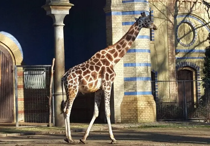 Zoologischer Garten Berlin