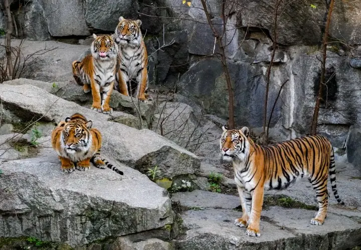 Tierpark Berlin