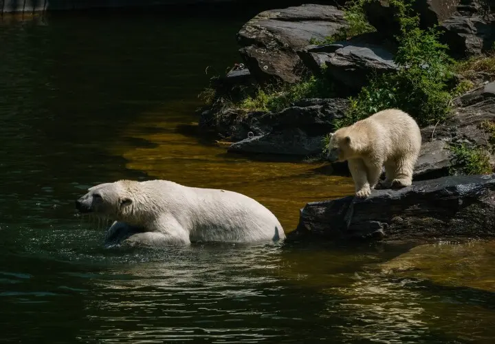 Tierpark Berlin