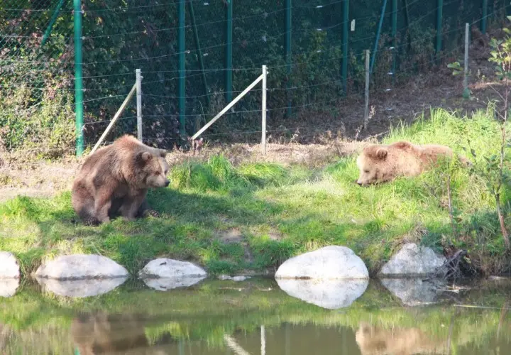 Wildpark Poing