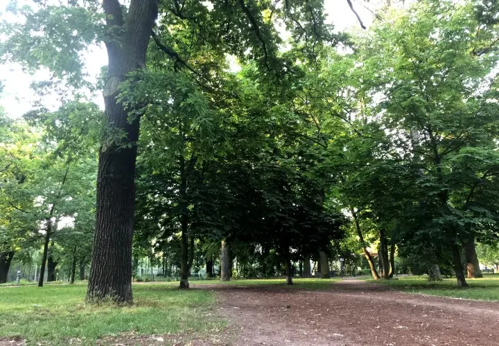 Sportplatz Virchowstraße