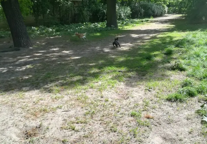 Sportplatz Virchowstraße