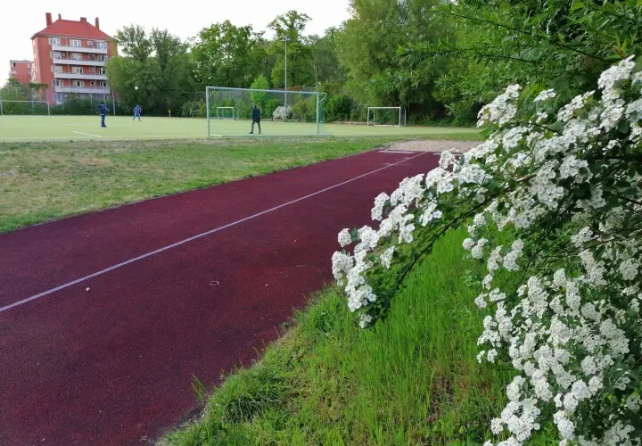Sportplatz Eisackstr.