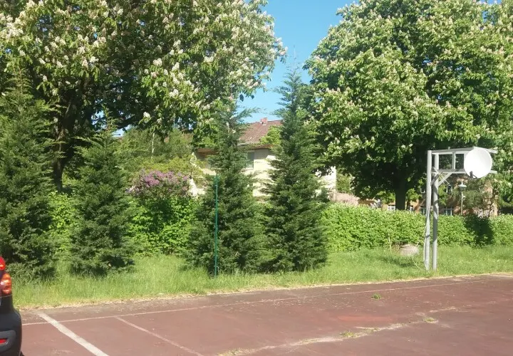 Sochos Sportplatz