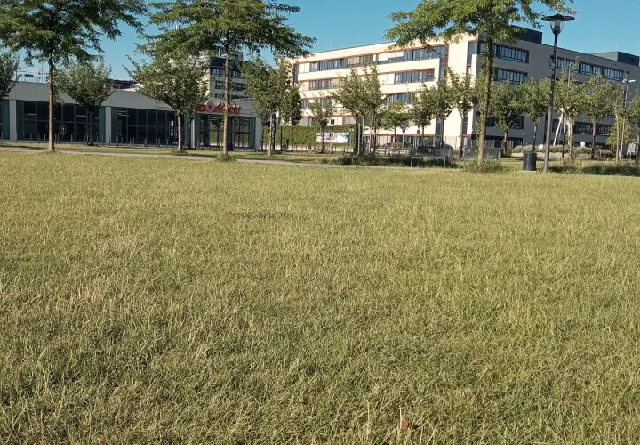 Spielplatz an den Köln Arcaden