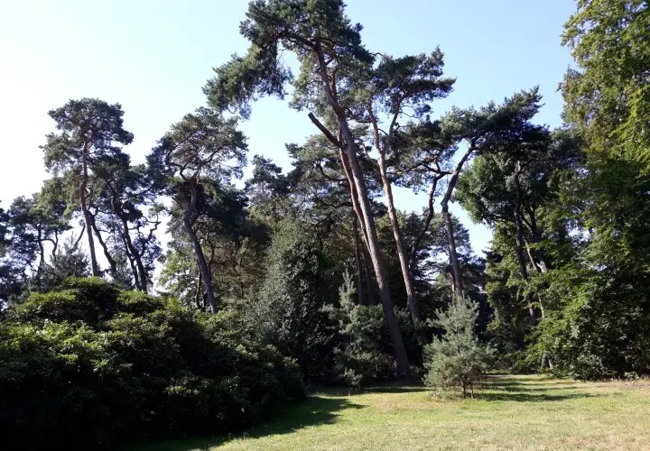 Spielplatz im Südpark