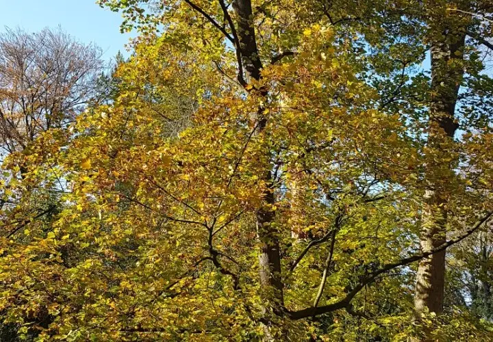Spielplatz im Südpark