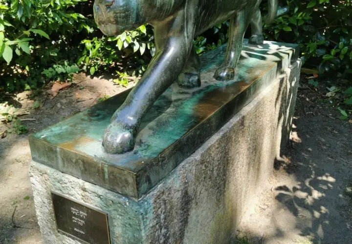 Spielplatz im Südpark