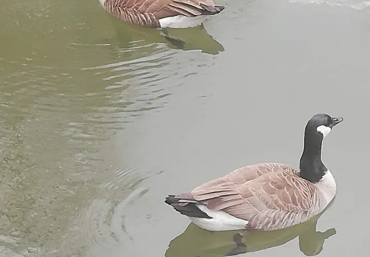 Freizeitpark Lindlar
