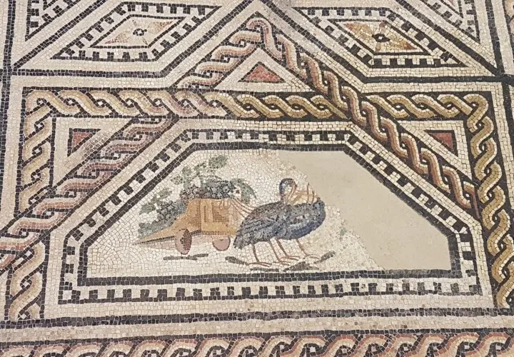 Römisch-Germanisches Museum