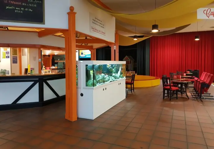 die ZIRKUSfabrik Kulturarena Cafe