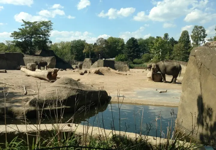 Streichelzoo