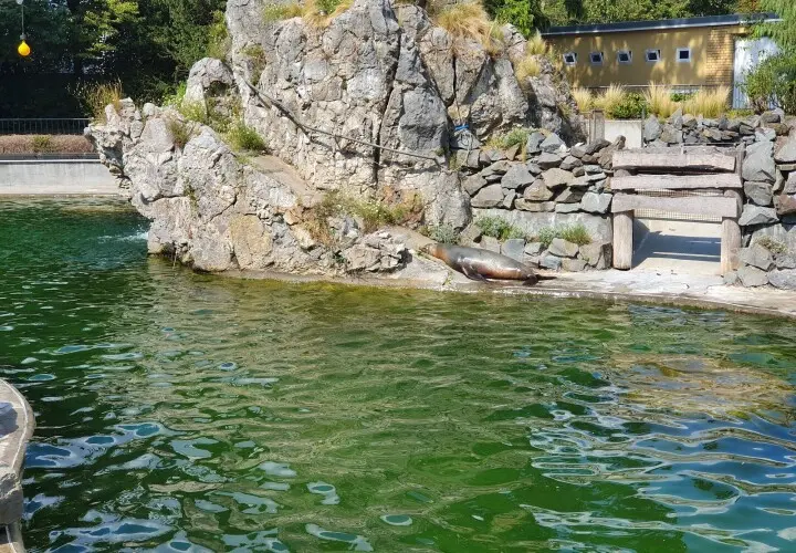 Streichelzoo