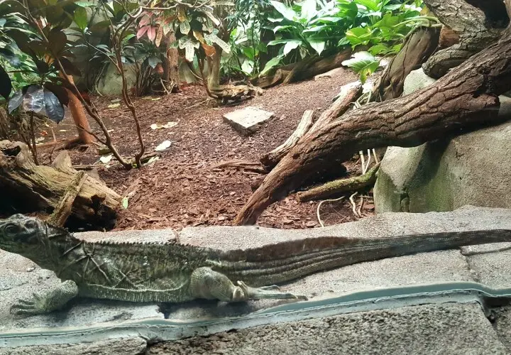 Tropenhaus Kölner Zoo