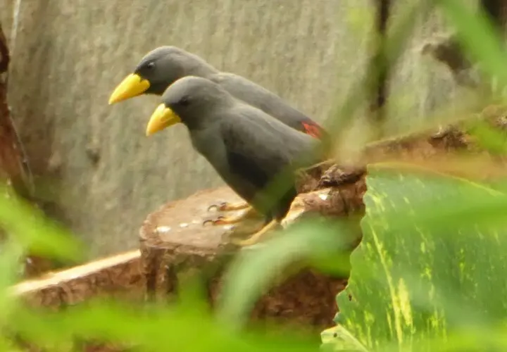 Tropenhaus Kölner Zoo