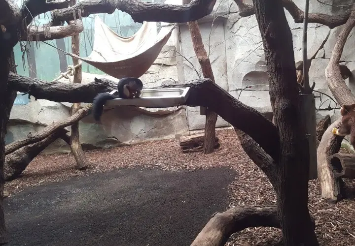Tropenhaus Kölner Zoo