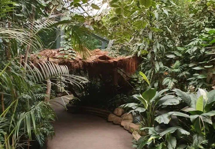 Urwaldhaus