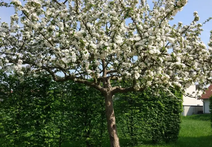 Freizeitpark Kalbach