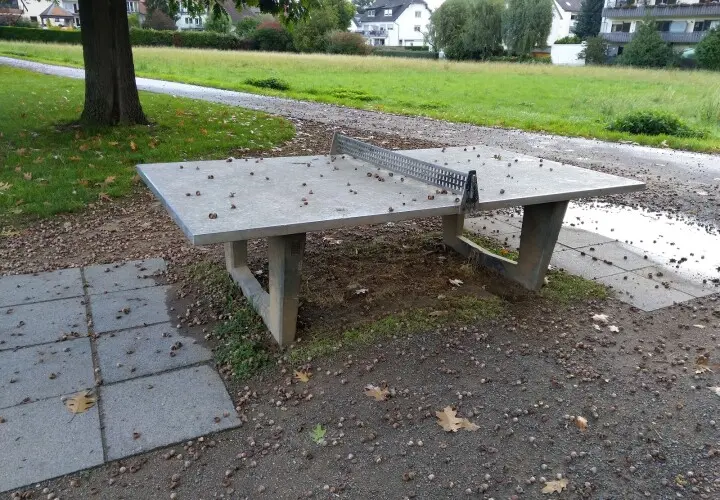 Freizeitpark Kalbach